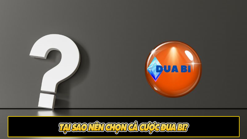 Tại sao nên chọn Cá Cược Đua Bi?